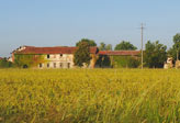 CASCINA CATTABREGA